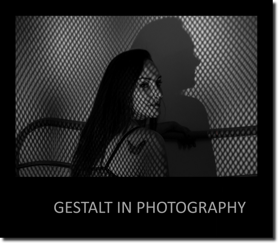 The cover of the book Gestalt in Photography